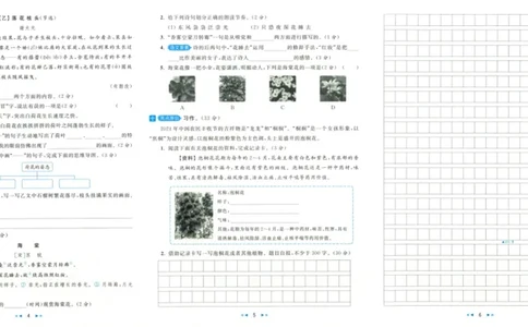 亮点给力大试卷语文3下-_三年级上下册资料_53黄冈多个品牌系列资料_语文