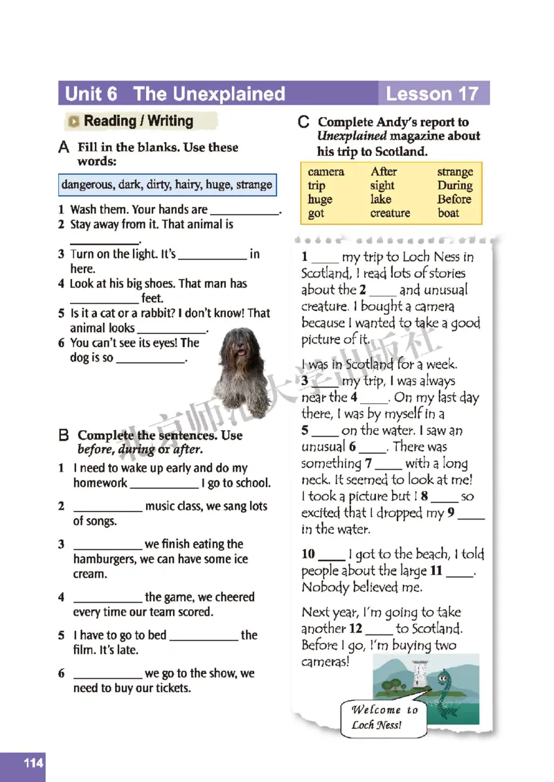 北师大8年级英语上册高清教材_4-教培资料-26年最新资料-同步更新_初中高中教资_03科三专项（进去保存报考的学科即可）_02科三专项（笔记真题思维导图教学设计版本二）