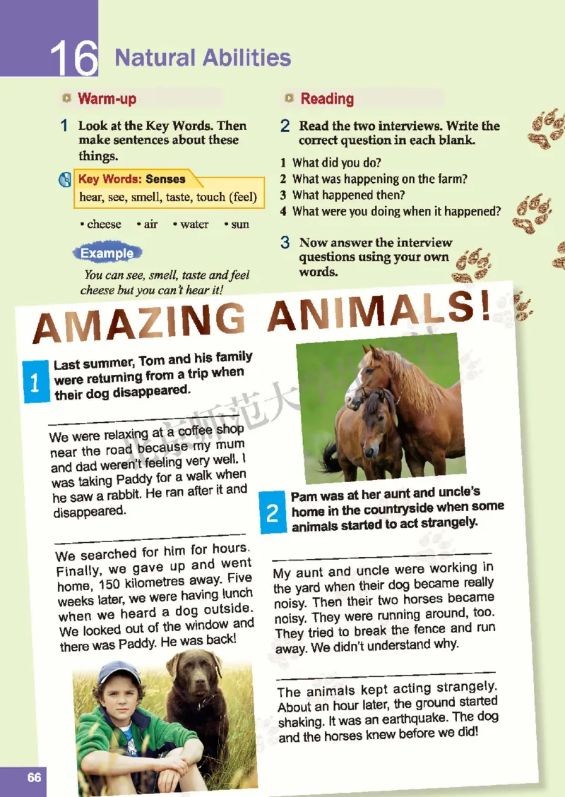 北师大8年级英语上册高清教材_4-教培资料-26年最新资料-同步更新_初中高中教资_03科三专项（进去保存报考的学科即可）_02科三专项（笔记真题思维导图教学设计版本二）