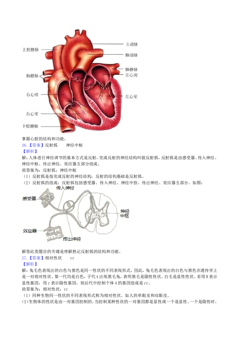 2019年四川省乐山市中考生物真题及答案_中考真题_8.生物中考真题2015-2024年_地区卷_四川省_四川乐山生物19-20