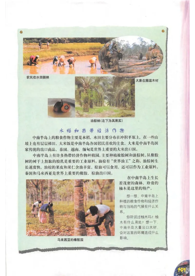 六年级下册地理沪教版电子课本_4-教培资料-26年最新资料-同步更新_初中高中教资_03科三专项（进去保存报考的学科即可）_02科三专项（笔记真题思维导图教学设计版本二）