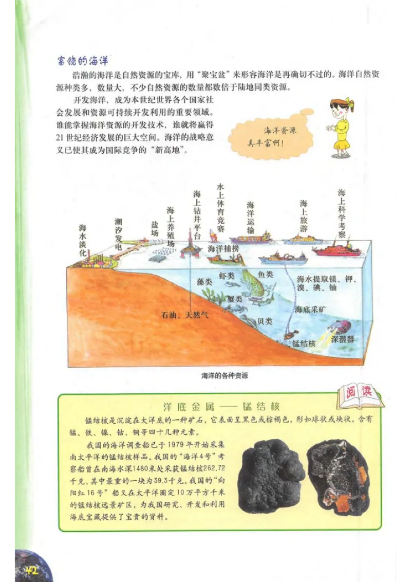 六年级下册地理沪教版电子课本_4-教培资料-26年最新资料-同步更新_初中高中教资_03科三专项（进去保存报考的学科即可）_02科三专项（笔记真题思维导图教学设计版本二）