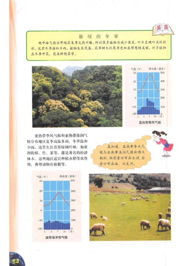 六年级下册地理沪教版电子课本_4-教培资料-26年最新资料-同步更新_初中高中教资_03科三专项（进去保存报考的学科即可）_02科三专项（笔记真题思维导图教学设计版本二）