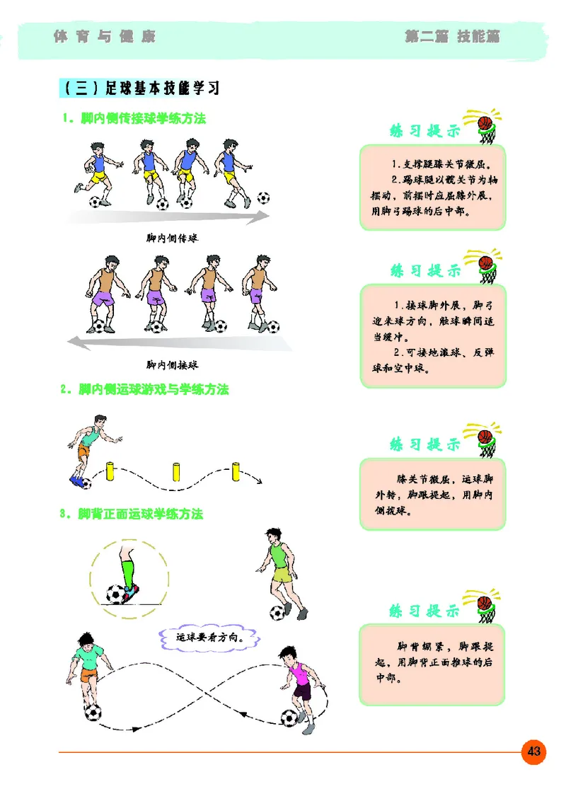 地质社7年级体育全一册高清教材_4-教培资料-26年最新资料-同步更新_初中高中教资_03科三专项（进去保存报考的学科即可）_02科三专项（笔记真题思维导图教学设计版本二）