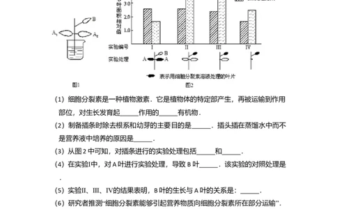 2012年高考生物试卷（北京）（空白卷）_1.高考2025全国各省真题+答案_01.2008-2024全国高考真题（按省份分类）_2.北京_2008-2024&middot;（北京）生物高考真题