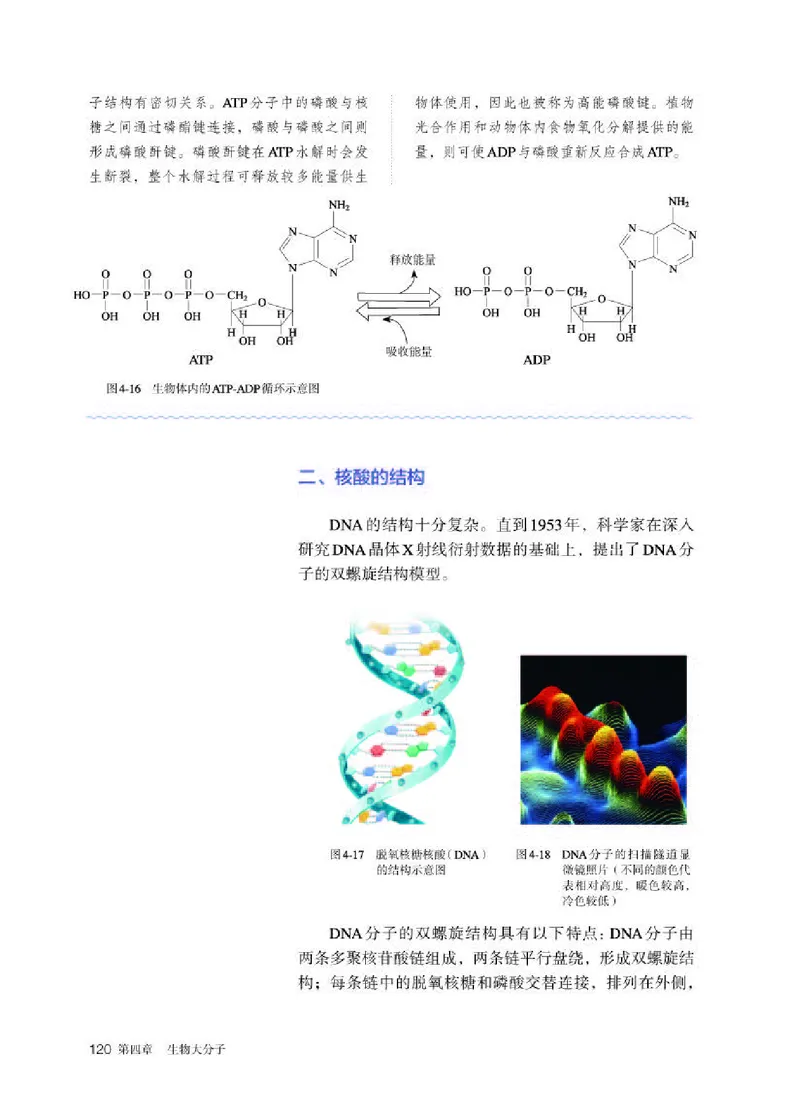 人教版化学选修第三册高清教材_4-教培资料-26年最新资料-同步更新_初中高中教资_03科三专项（进去保存报考的学科即可）_02科三专项（笔记真题思维导图教学设计版本二）