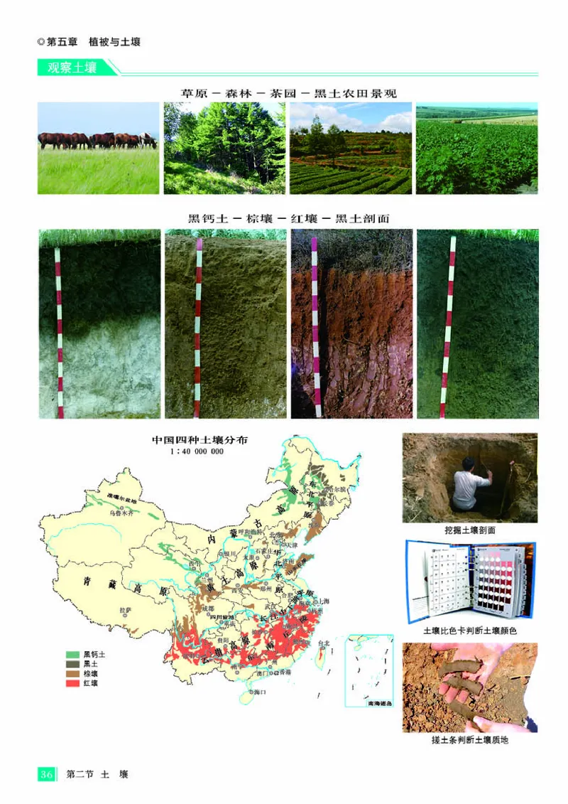 人教版地理必修第一册地理图册_4-教培资料-26年最新资料-同步更新_初中高中教资_03科三专项（进去保存报考的学科即可）_02科三专项（笔记真题思维导图教学设计版本二）