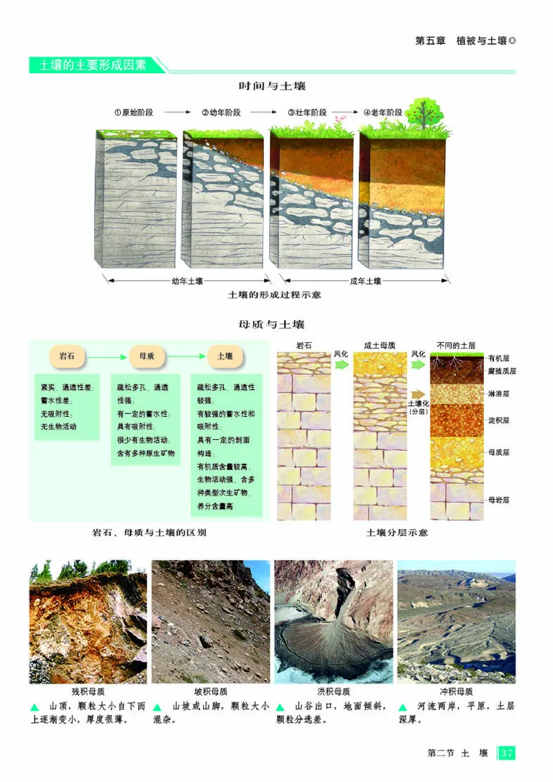 人教版地理必修第一册地理图册_4-教培资料-26年最新资料-同步更新_初中高中教资_03科三专项（进去保存报考的学科即可）_02科三专项（笔记真题思维导图教学设计版本二）