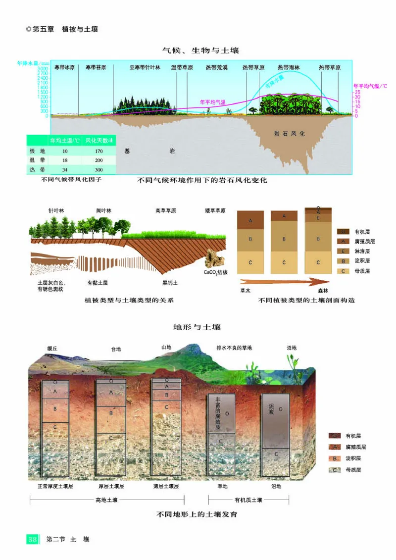 人教版地理必修第一册地理图册_4-教培资料-26年最新资料-同步更新_初中高中教资_03科三专项（进去保存报考的学科即可）_02科三专项（笔记真题思维导图教学设计版本二）