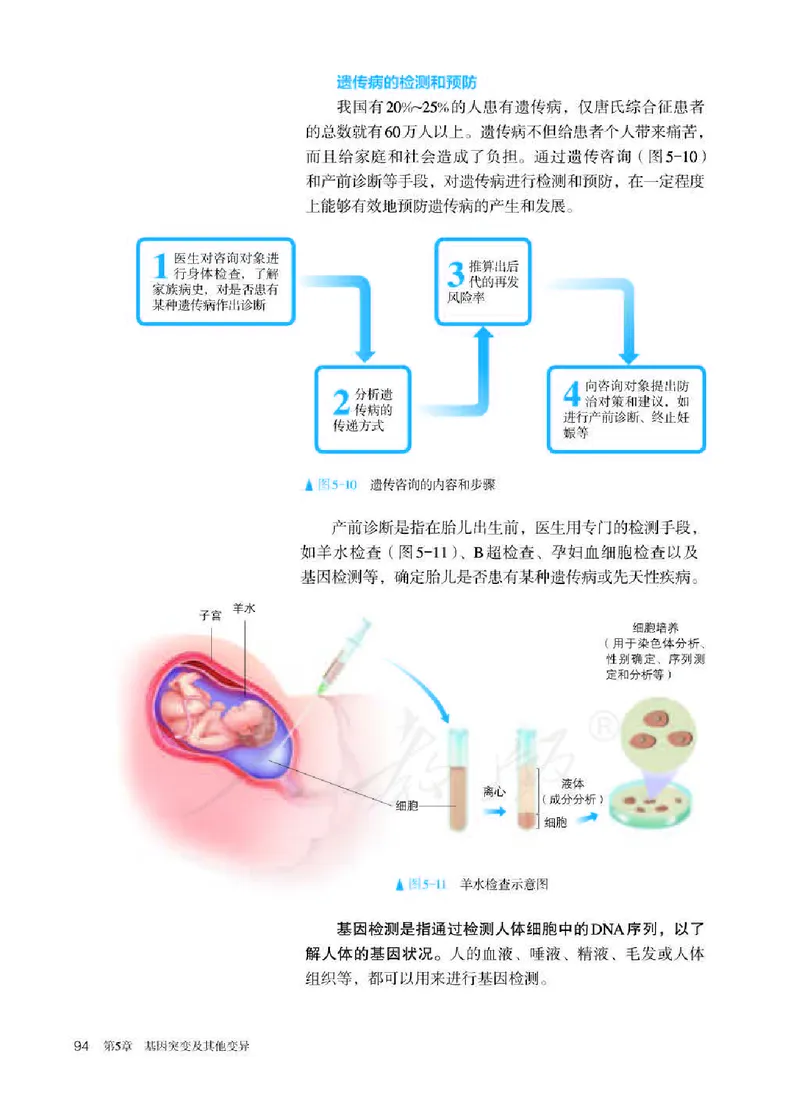 人教版生物必修2高清教材_4-教培资料-26年最新资料-同步更新_初中高中教资_03科三专项（进去保存报考的学科即可）_02科三专项（笔记真题思维导图教学设计版本二）