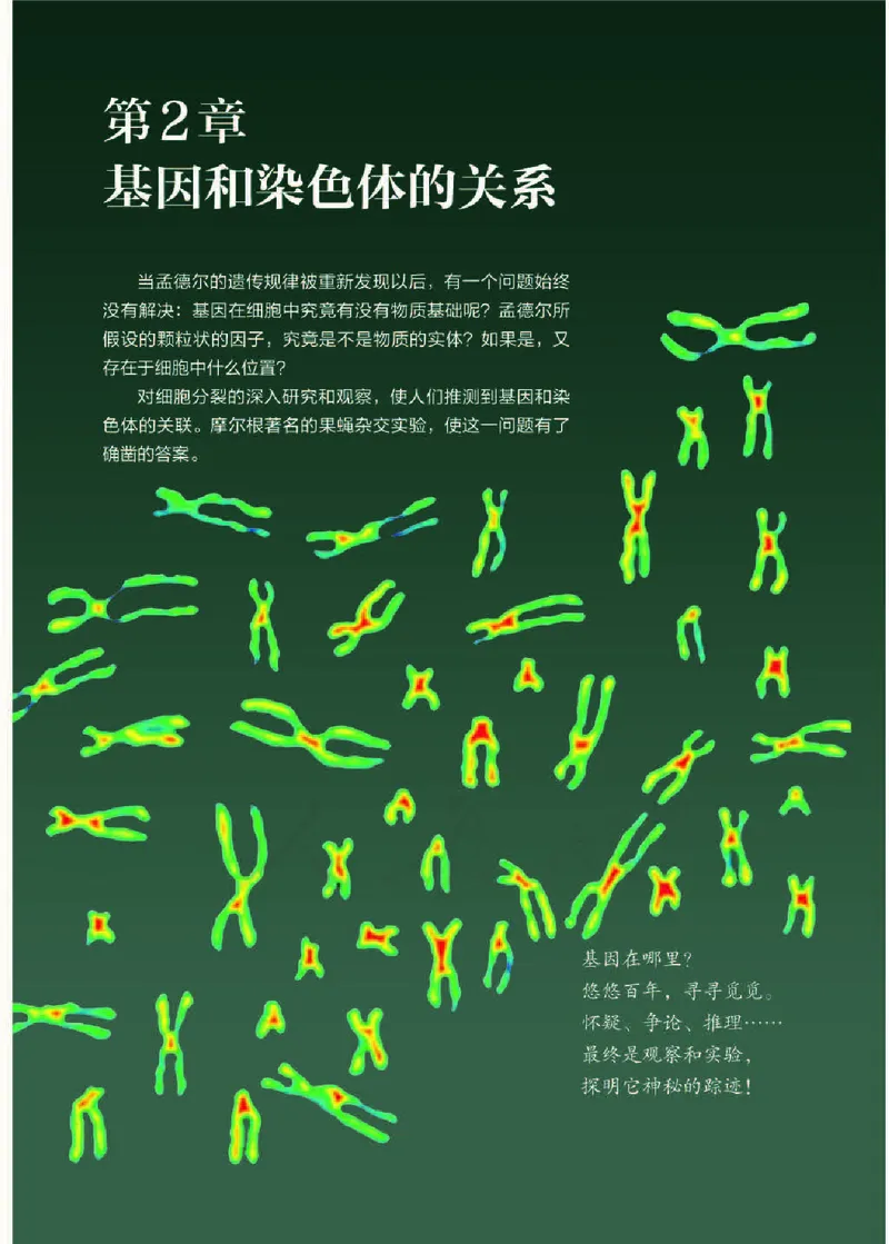 人教版生物必修2高清教材_4-教培资料-26年最新资料-同步更新_初中高中教资_03科三专项（进去保存报考的学科即可）_02科三专项（笔记真题思维导图教学设计版本二）