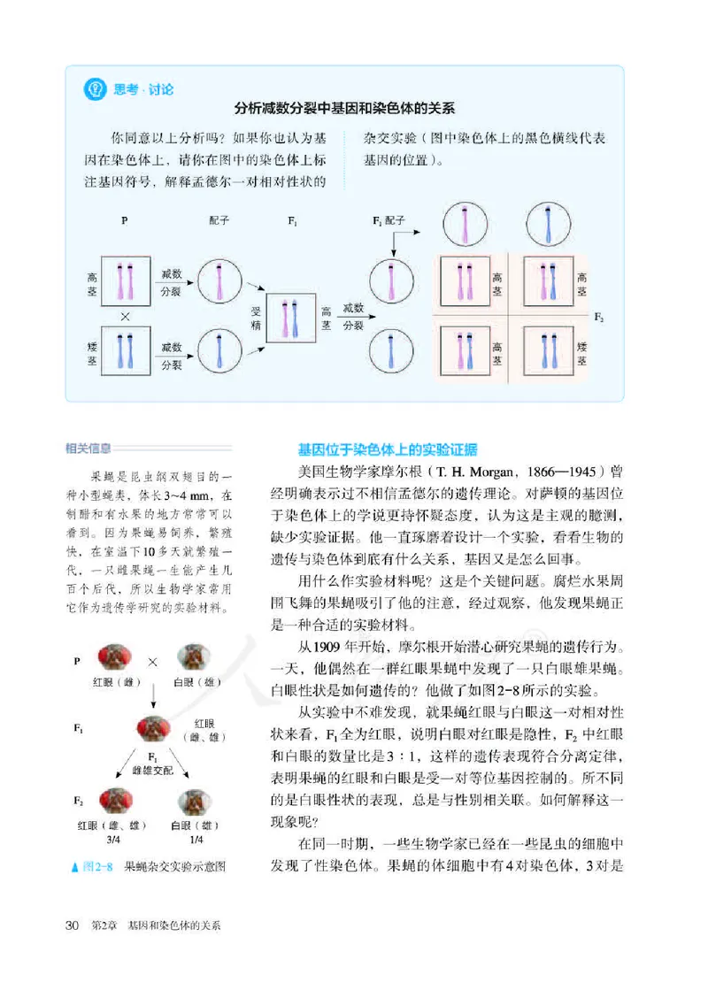 人教版生物必修2高清教材_4-教培资料-26年最新资料-同步更新_初中高中教资_03科三专项（进去保存报考的学科即可）_02科三专项（笔记真题思维导图教学设计版本二）