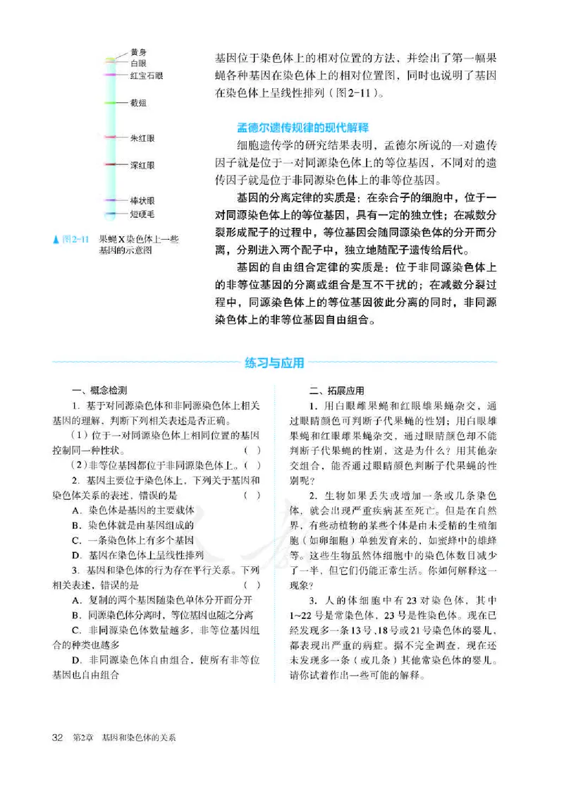 人教版生物必修2高清教材_4-教培资料-26年最新资料-同步更新_初中高中教资_03科三专项（进去保存报考的学科即可）_02科三专项（笔记真题思维导图教学设计版本二）