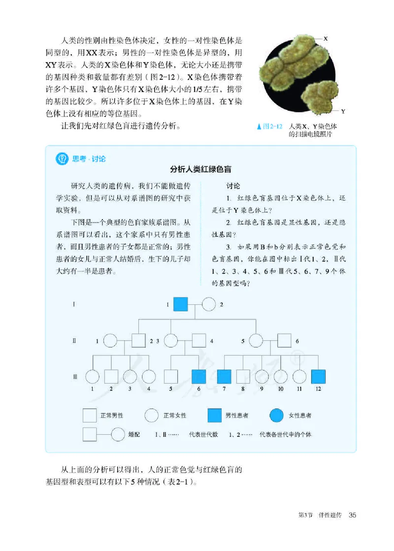 人教版生物必修2高清教材_4-教培资料-26年最新资料-同步更新_初中高中教资_03科三专项（进去保存报考的学科即可）_02科三专项（笔记真题思维导图教学设计版本二）