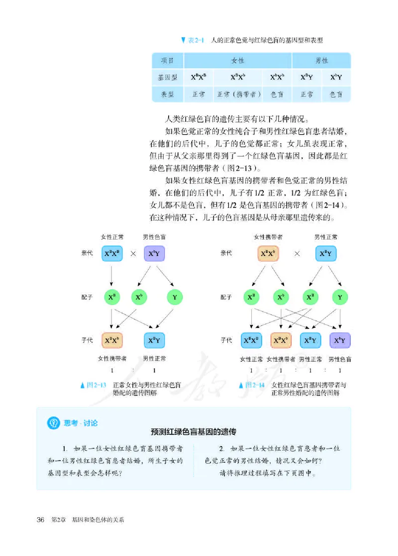 人教版生物必修2高清教材_4-教培资料-26年最新资料-同步更新_初中高中教资_03科三专项（进去保存报考的学科即可）_02科三专项（笔记真题思维导图教学设计版本二）