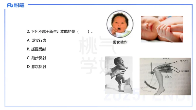 历年珍题-24上-袁枍_4-教培资料-26年最新资料-同步更新_幼儿教资_012025下FB幼儿系统班_幼儿园25下-保教知识与能力_3.历年真题_讲义