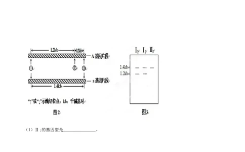 2013年高考生物试卷（安徽）（空白卷）_1.高考2025全国各省真题+答案_01.2008-2024全国高考真题（按省份分类）_1.安徽_2012-2024&middot;（安徽）生物高考真题