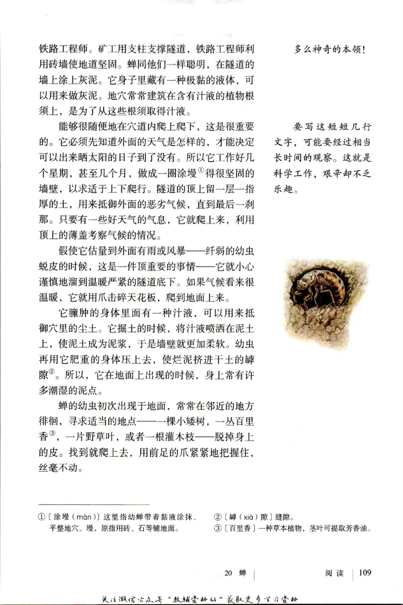 八年级上册语文五四制电子课本_4-教培资料-26年最新资料-同步更新_初中高中教资_03科三专项（进去保存报考的学科即可）_02科三专项（笔记真题思维导图教学设计版本二）