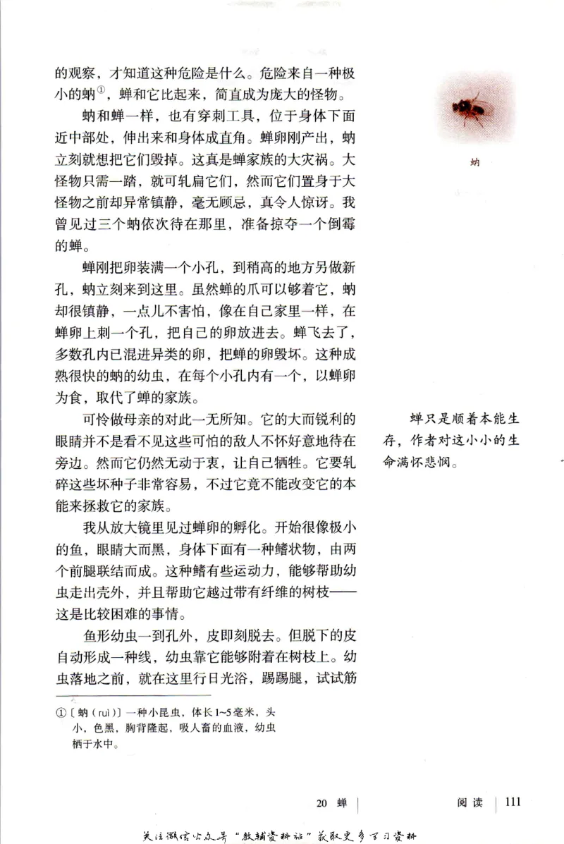 八年级上册语文五四制电子课本_4-教培资料-26年最新资料-同步更新_初中高中教资_03科三专项（进去保存报考的学科即可）_02科三专项（笔记真题思维导图教学设计版本二）