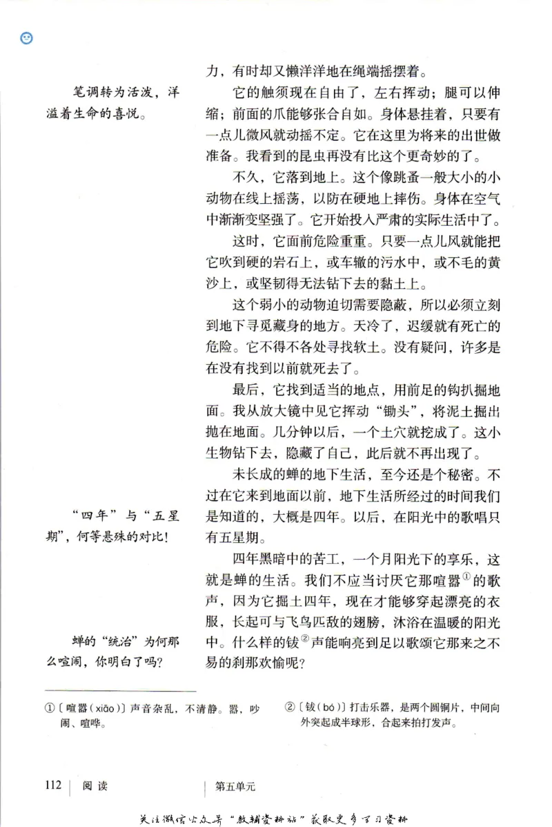 八年级上册语文五四制电子课本_4-教培资料-26年最新资料-同步更新_初中高中教资_03科三专项（进去保存报考的学科即可）_02科三专项（笔记真题思维导图教学设计版本二）