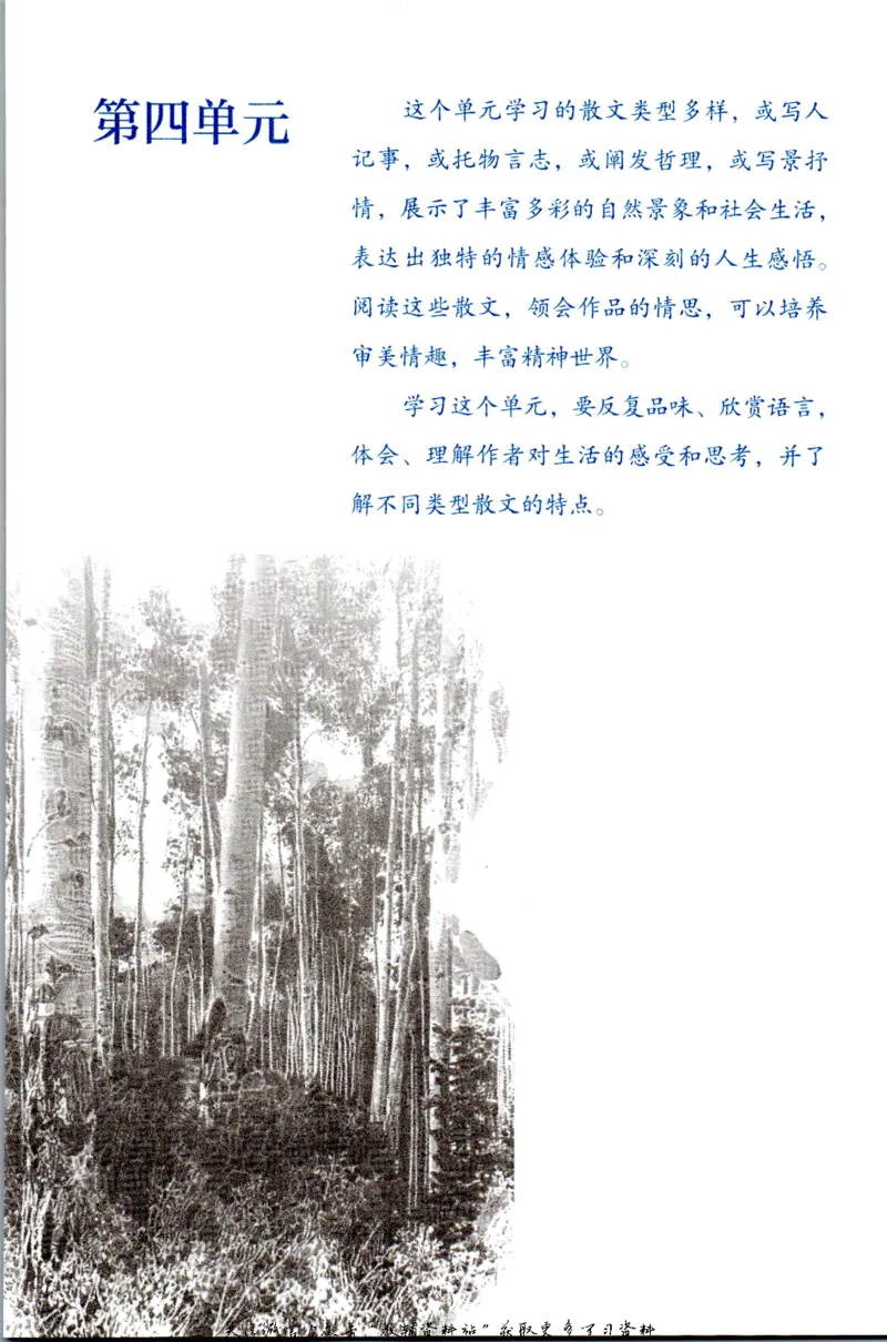 八年级上册语文五四制电子课本_4-教培资料-26年最新资料-同步更新_初中高中教资_03科三专项（进去保存报考的学科即可）_02科三专项（笔记真题思维导图教学设计版本二）