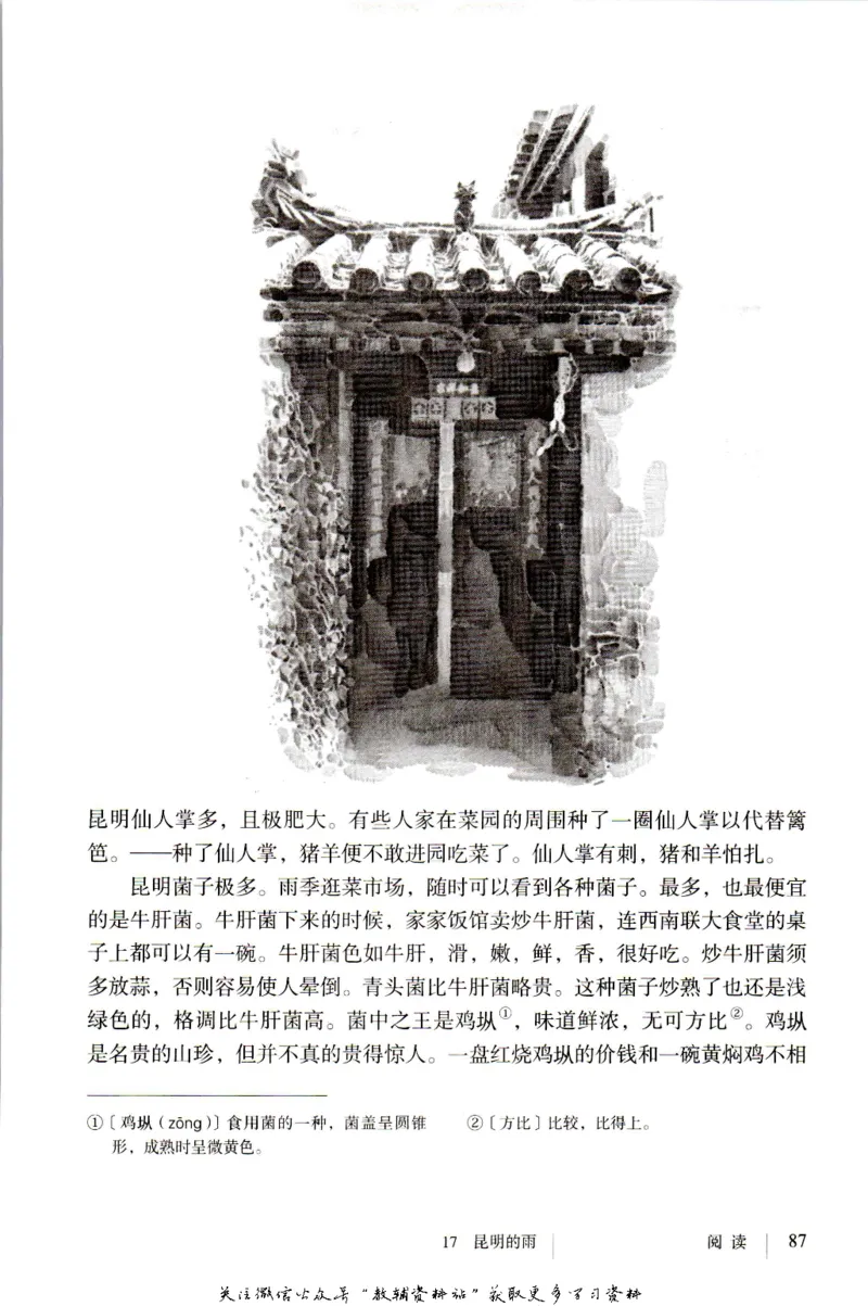 八年级上册语文五四制电子课本_4-教培资料-26年最新资料-同步更新_初中高中教资_03科三专项（进去保存报考的学科即可）_02科三专项（笔记真题思维导图教学设计版本二）