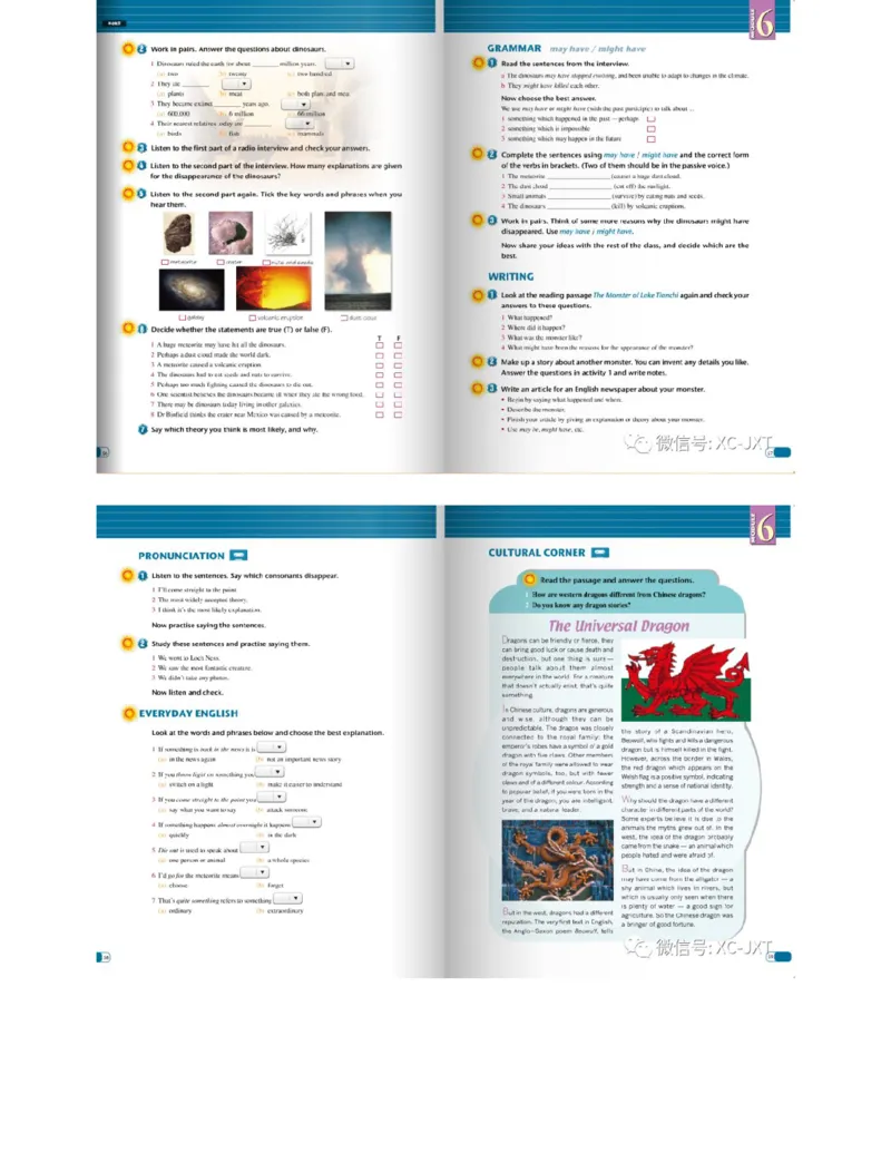 外研版高中英语必修4电子课本_4-教培资料-26年最新资料-同步更新_初中高中教资_03科三专项（进去保存报考的学科即可）_02科三专项（笔记真题思维导图教学设计版本二）