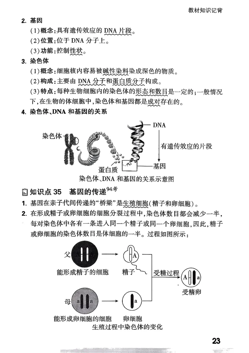 八上生物教材知识记背_2026万唯系列预习复习_2026版初中《万唯情景题》与中考新考法8年级上册（生物）