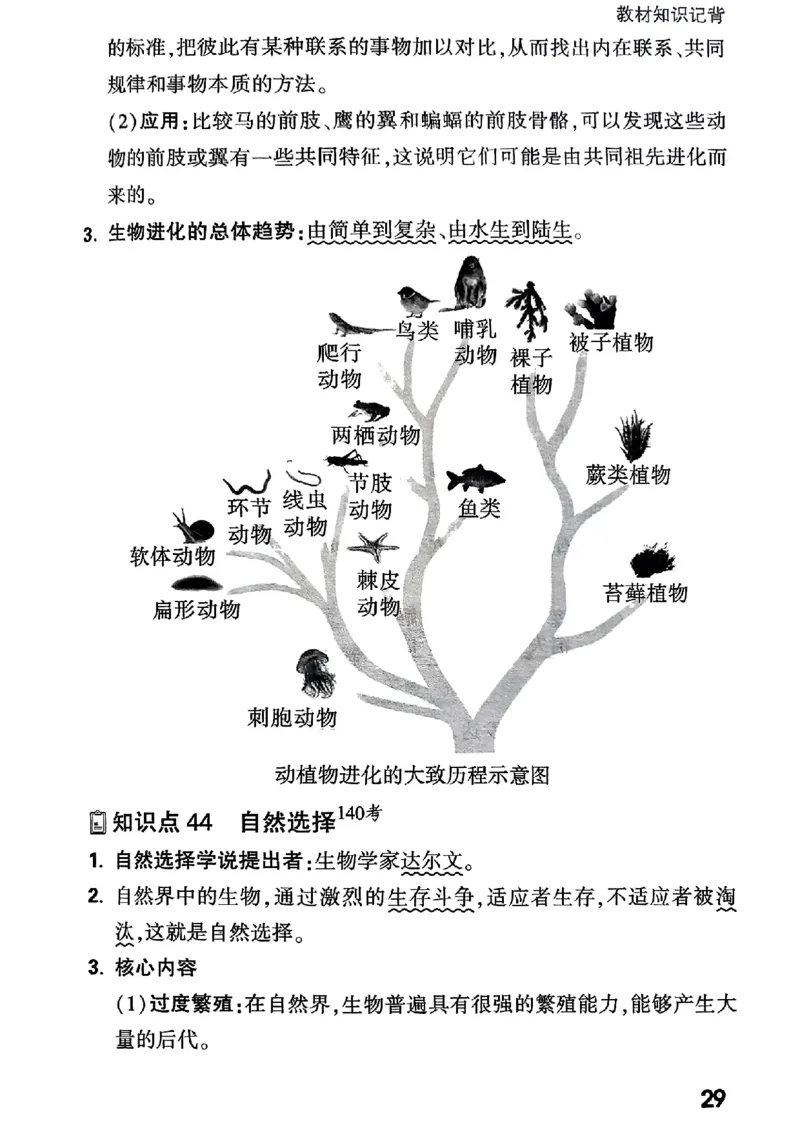 八上生物教材知识记背_2026万唯系列预习复习_2026版初中《万唯情景题》与中考新考法8年级上册（生物）