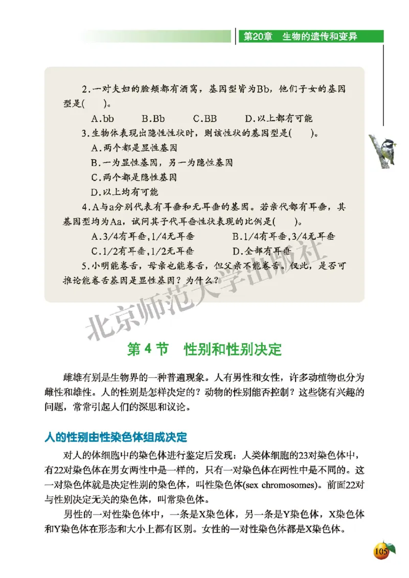 北师大8年级生物上册高清教材_4-教培资料-26年最新资料-同步更新_初中高中教资_03科三专项（进去保存报考的学科即可）_02科三专项（笔记真题思维导图教学设计版本二）