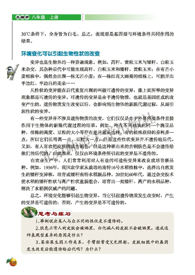 北师大8年级生物上册高清教材_4-教培资料-26年最新资料-同步更新_初中高中教资_03科三专项（进去保存报考的学科即可）_02科三专项（笔记真题思维导图教学设计版本二）