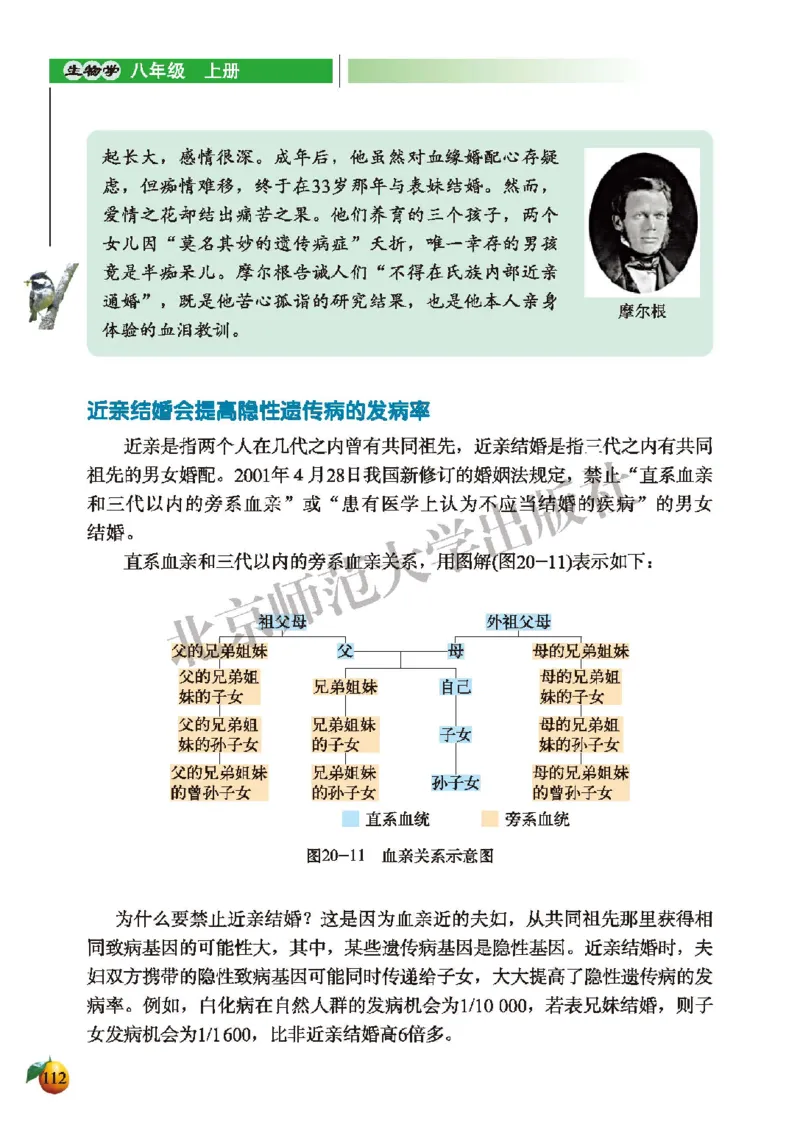 北师大8年级生物上册高清教材_4-教培资料-26年最新资料-同步更新_初中高中教资_03科三专项（进去保存报考的学科即可）_02科三专项（笔记真题思维导图教学设计版本二）