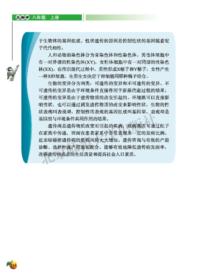 北师大8年级生物上册高清教材_4-教培资料-26年最新资料-同步更新_初中高中教资_03科三专项（进去保存报考的学科即可）_02科三专项（笔记真题思维导图教学设计版本二）