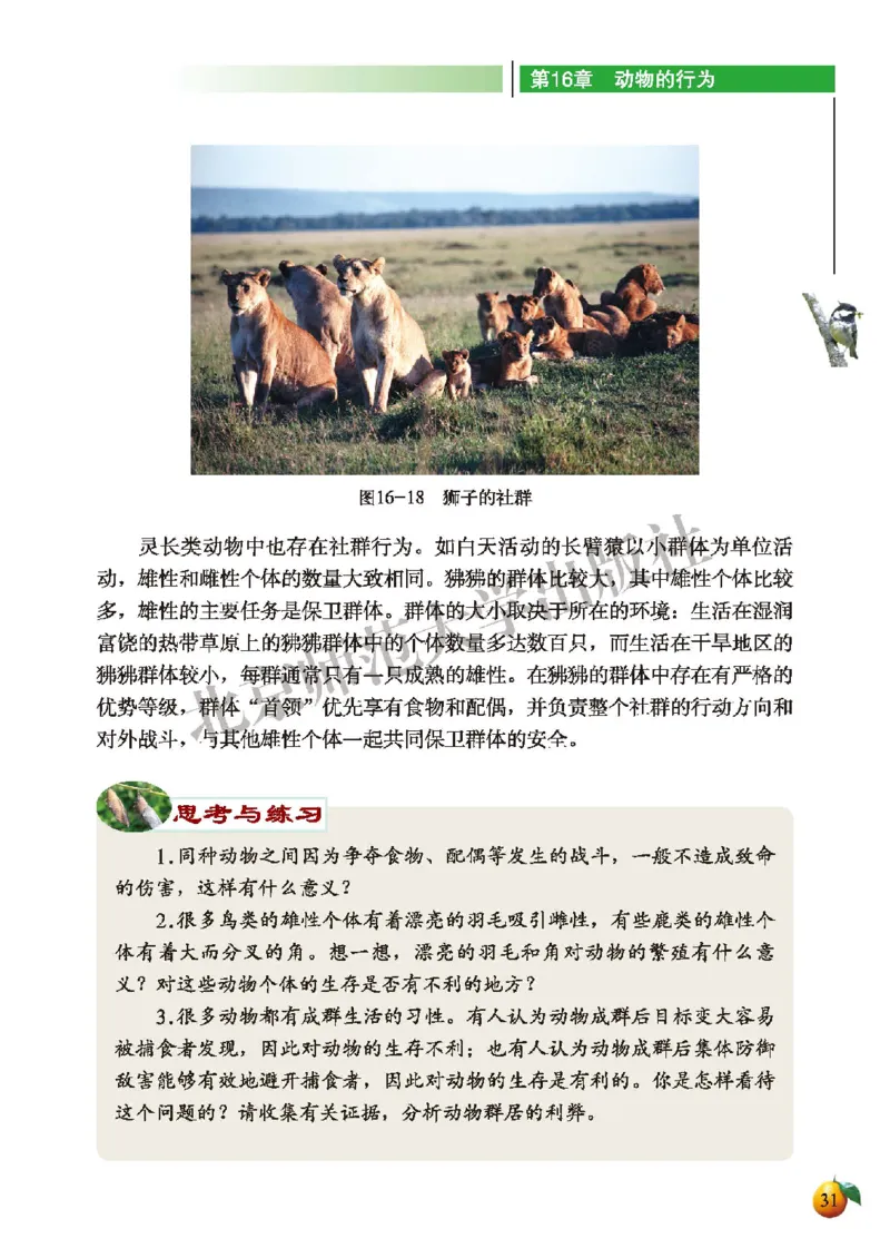 北师大8年级生物上册高清教材_4-教培资料-26年最新资料-同步更新_初中高中教资_03科三专项（进去保存报考的学科即可）_02科三专项（笔记真题思维导图教学设计版本二）
