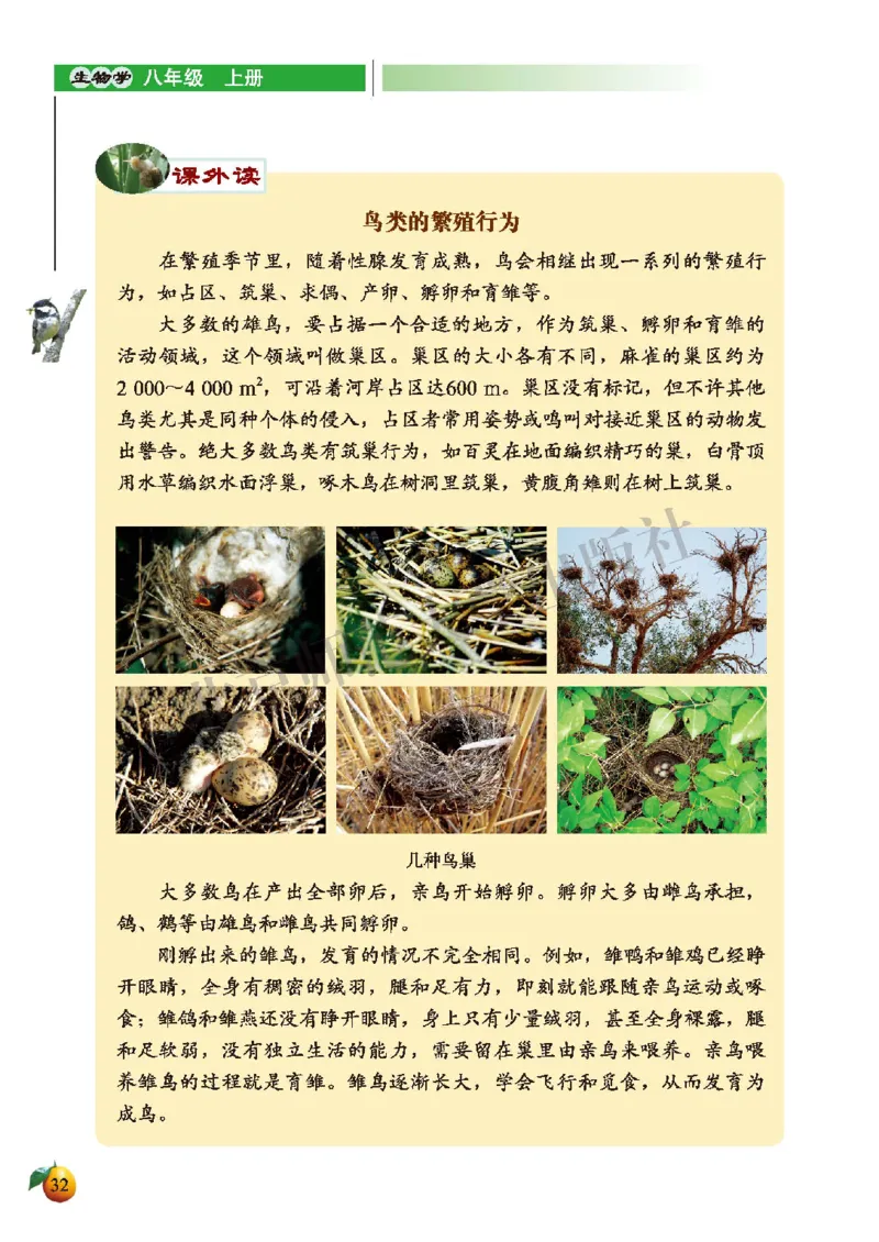 北师大8年级生物上册高清教材_4-教培资料-26年最新资料-同步更新_初中高中教资_03科三专项（进去保存报考的学科即可）_02科三专项（笔记真题思维导图教学设计版本二）