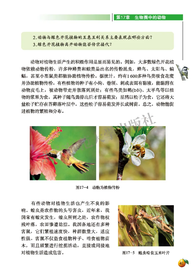 北师大8年级生物上册高清教材_4-教培资料-26年最新资料-同步更新_初中高中教资_03科三专项（进去保存报考的学科即可）_02科三专项（笔记真题思维导图教学设计版本二）