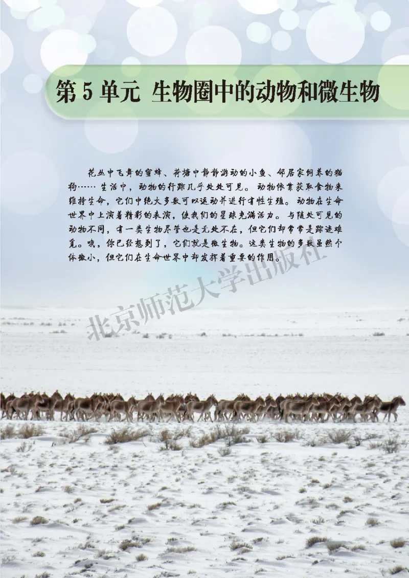 北师大8年级生物上册高清教材_4-教培资料-26年最新资料-同步更新_初中高中教资_03科三专项（进去保存报考的学科即可）_02科三专项（笔记真题思维导图教学设计版本二）