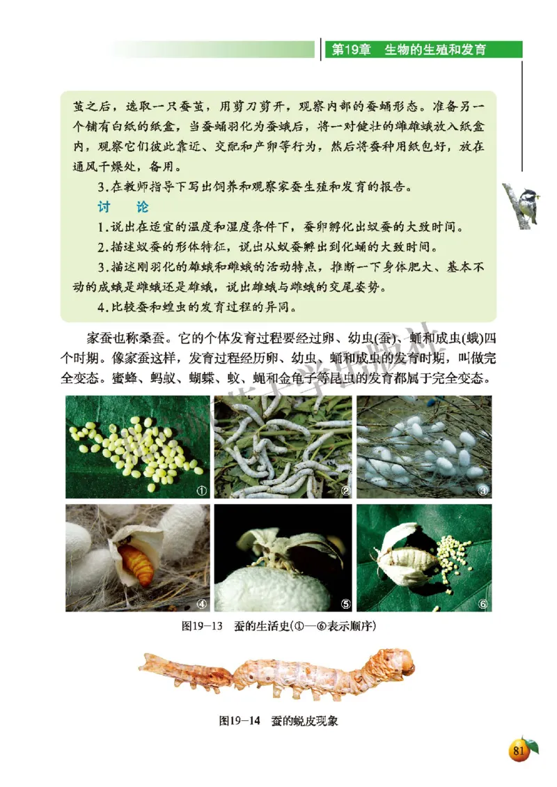 北师大8年级生物上册高清教材_4-教培资料-26年最新资料-同步更新_初中高中教资_03科三专项（进去保存报考的学科即可）_02科三专项（笔记真题思维导图教学设计版本二）