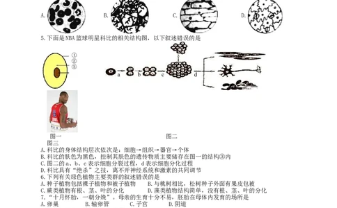 2017年湖南省衡阳市中考生物真题及答案_中考真题_8.生物中考真题2015-2024年_地区卷_湖南省_湖南衡阳生物17-22