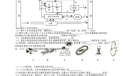 2017年湖南省衡阳市中考生物真题及答案_中考真题_8.生物中考真题2015-2024年_地区卷_湖南省_湖南衡阳生物17-22