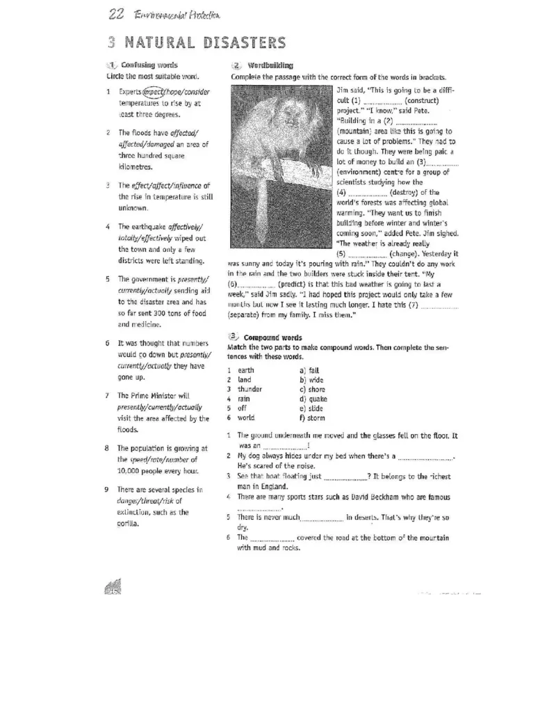 北师大版高中英语选修模块8电子课本_4-教培资料-26年最新资料-同步更新_初中高中教资_03科三专项（进去保存报考的学科即可）_02科三专项（笔记真题思维导图教学设计版本二）