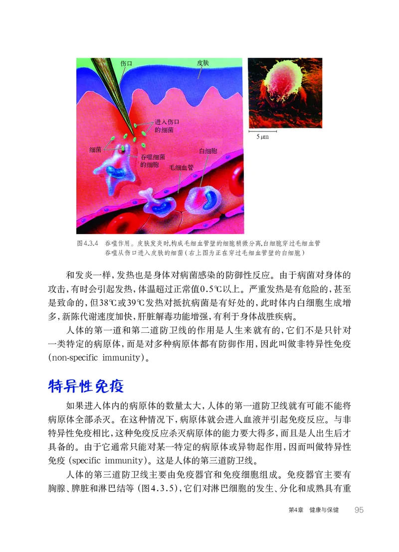 华师大9年级科学下册高清教材_4-教培资料-26年最新资料-同步更新_初中高中教资_03科三专项（进去保存报考的学科即可）_02科三专项（笔记真题思维导图教学设计版本二）