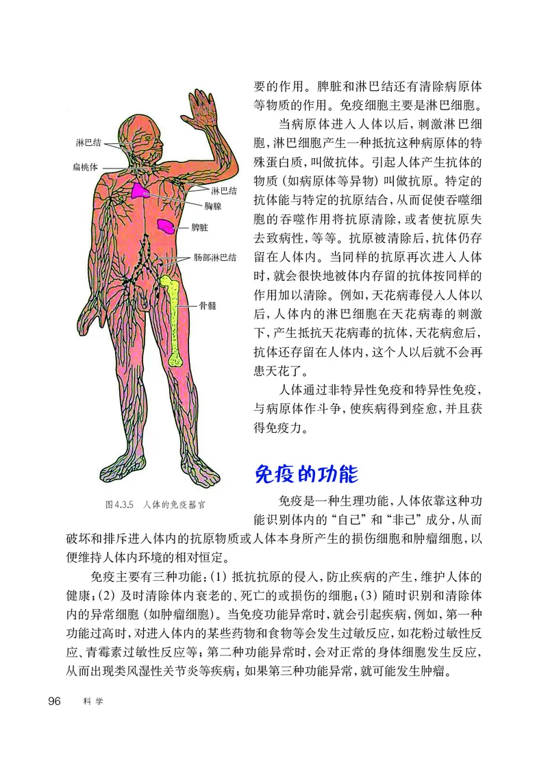 华师大9年级科学下册高清教材_4-教培资料-26年最新资料-同步更新_初中高中教资_03科三专项（进去保存报考的学科即可）_02科三专项（笔记真题思维导图教学设计版本二）