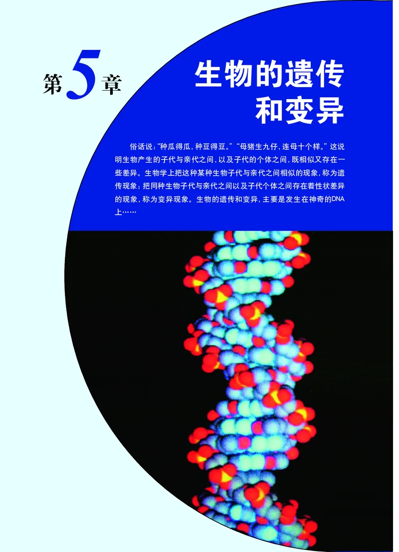 华师大9年级科学下册高清教材_4-教培资料-26年最新资料-同步更新_初中高中教资_03科三专项（进去保存报考的学科即可）_02科三专项（笔记真题思维导图教学设计版本二）
