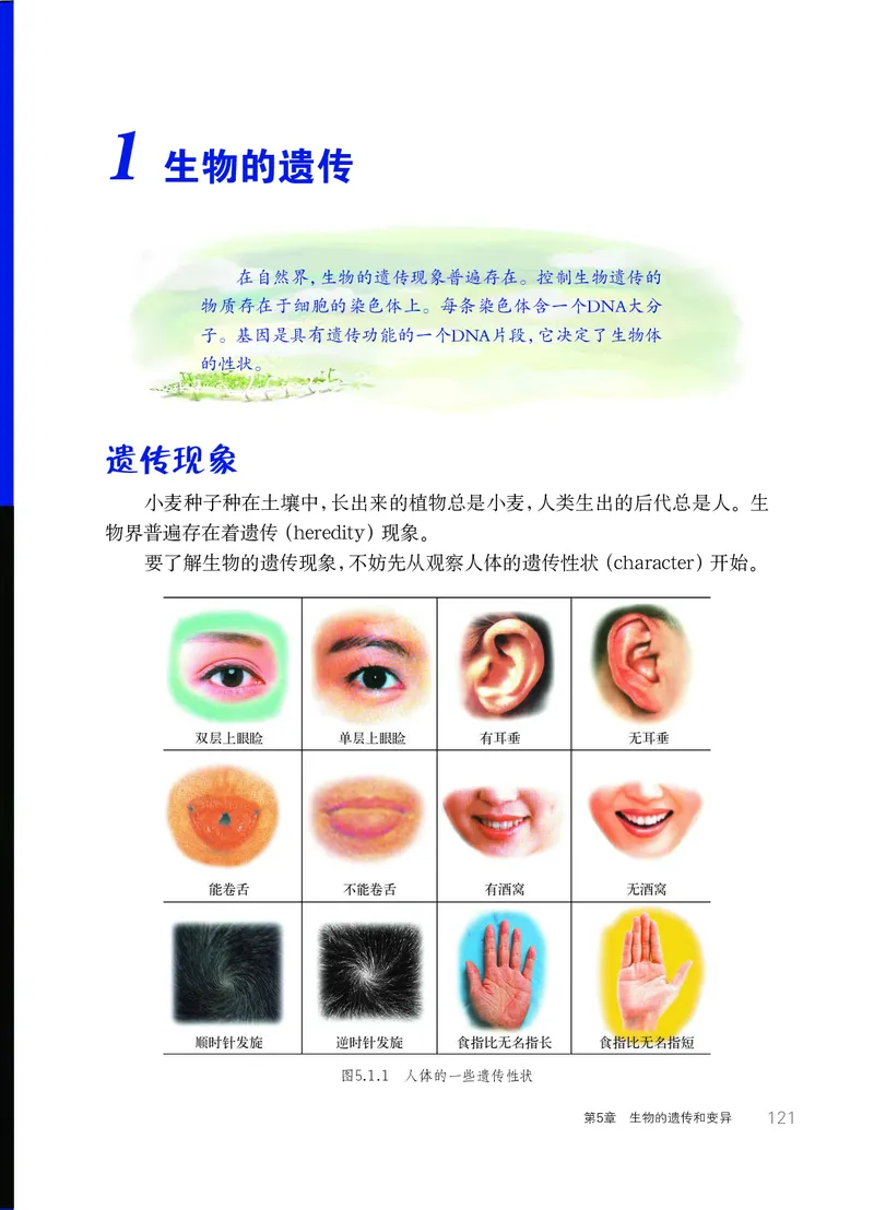 华师大9年级科学下册高清教材_4-教培资料-26年最新资料-同步更新_初中高中教资_03科三专项（进去保存报考的学科即可）_02科三专项（笔记真题思维导图教学设计版本二）