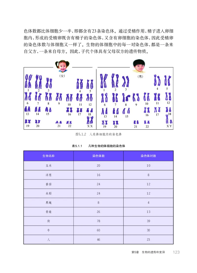 华师大9年级科学下册高清教材_4-教培资料-26年最新资料-同步更新_初中高中教资_03科三专项（进去保存报考的学科即可）_02科三专项（笔记真题思维导图教学设计版本二）