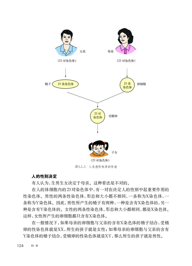 华师大9年级科学下册高清教材_4-教培资料-26年最新资料-同步更新_初中高中教资_03科三专项（进去保存报考的学科即可）_02科三专项（笔记真题思维导图教学设计版本二）