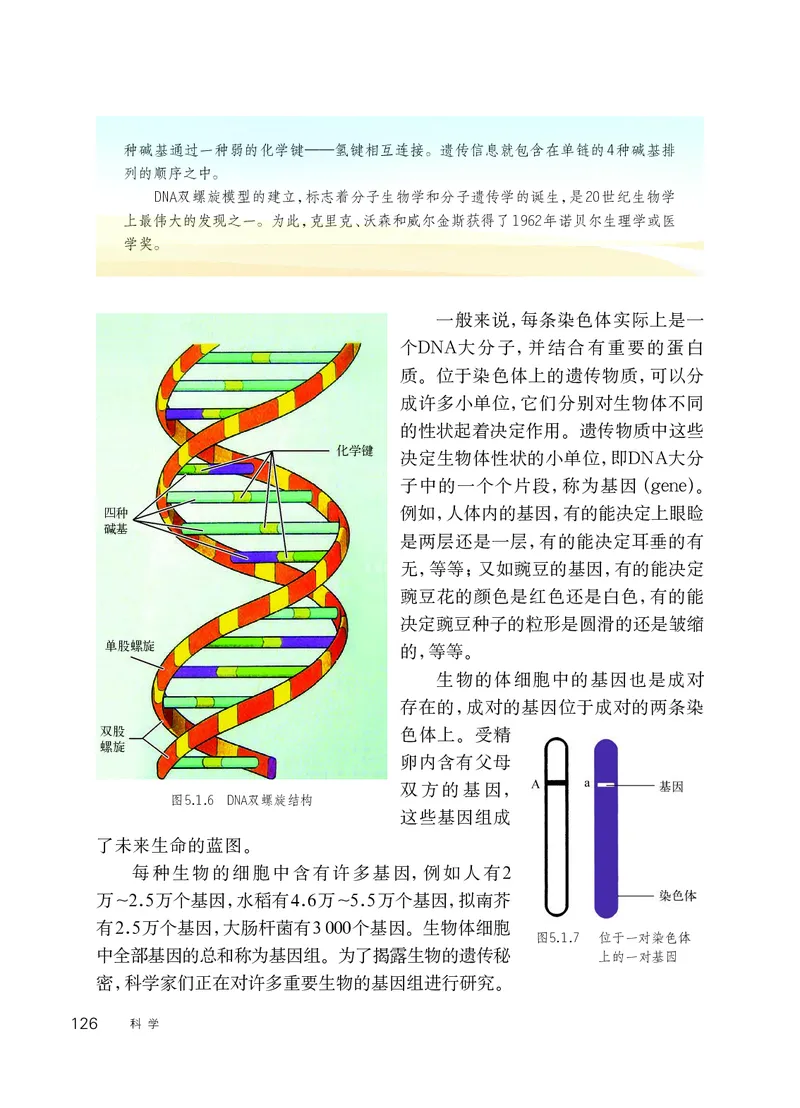 华师大9年级科学下册高清教材_4-教培资料-26年最新资料-同步更新_初中高中教资_03科三专项（进去保存报考的学科即可）_02科三专项（笔记真题思维导图教学设计版本二）