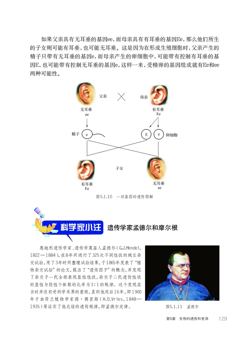 华师大9年级科学下册高清教材_4-教培资料-26年最新资料-同步更新_初中高中教资_03科三专项（进去保存报考的学科即可）_02科三专项（笔记真题思维导图教学设计版本二）