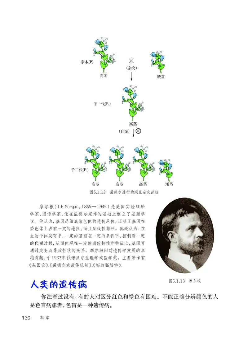 华师大9年级科学下册高清教材_4-教培资料-26年最新资料-同步更新_初中高中教资_03科三专项（进去保存报考的学科即可）_02科三专项（笔记真题思维导图教学设计版本二）